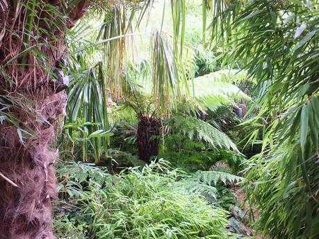 Rain - The Garden in July Rain - The Garden in July