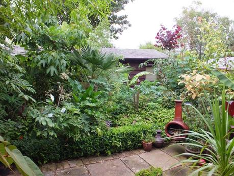 Rain - The Garden in July Rain - The Garden in July