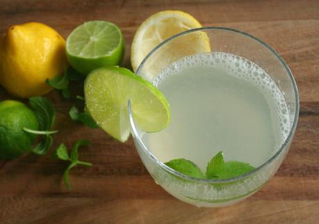 Ginger Mint Lime Ice Tea (Caffeine and Refined Sugar Free)