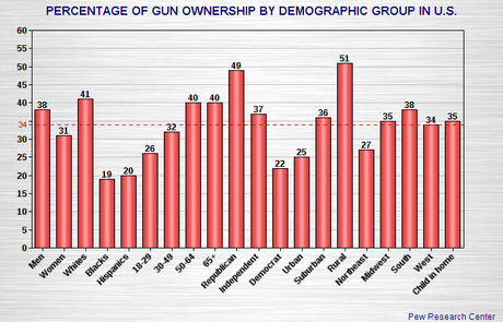 Gun Ownership In The United States