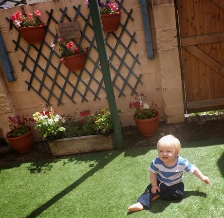Transforming my Yard & Summer Picnic Fun!