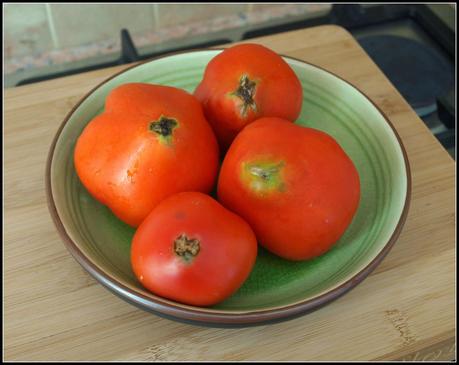 Tomatoes - a harvest at last!