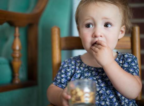 Little One Eats: Homemade Goldfish Crackers Homemade Goldfish Crackers