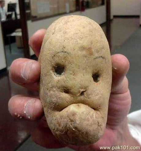 FFS!? Friday : Potatoes