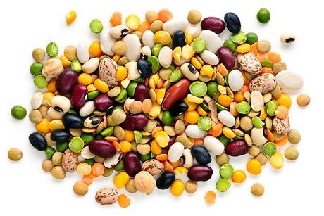 Beans That You Should Include in Your Diet