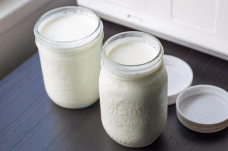 homemade yogurt how-to