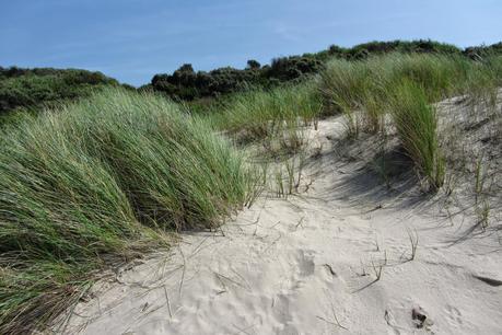 Walk on Opal Coast - Le Blanc Nez Walk on Opal Coast - Le Blanc Nez