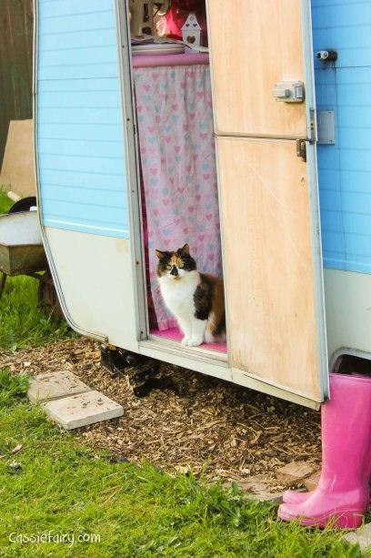 moving caravan to new home-3 How does your garden grow? My little vintage caravan