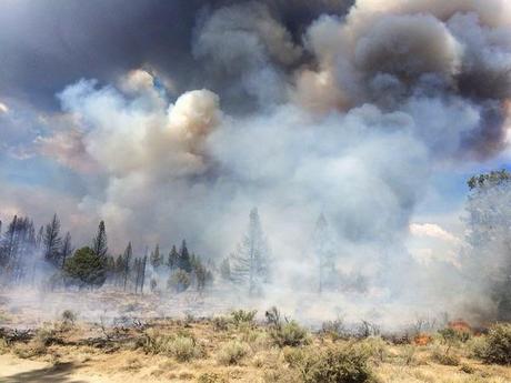 WILD, WILD WILDFIRES -- And more to come