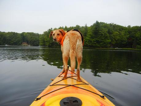Charlie and the Kayak