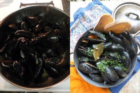 Moules Mariniere-collage3