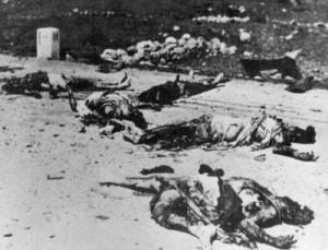 Victims of the Deir-Yasin massacre in 1948