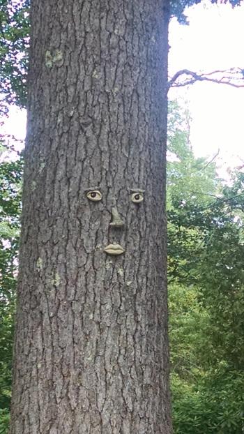 Lesson 1092 – Quotable Chicks IMG_20140806_151437995