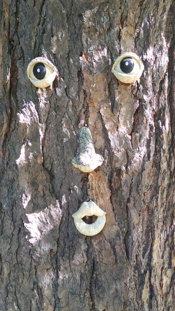 Lesson 1092 – Quotable Chicks IMG_20140808_092647356