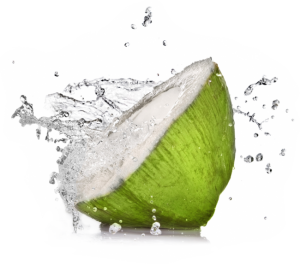 Cocozen coconut water 5
