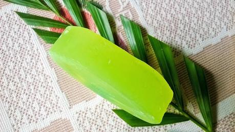 Ozone Ayurvedics Aloe Vera Bathing Bar Review Ozone Ayurvedics Aloe Vera Bathing Bar Review