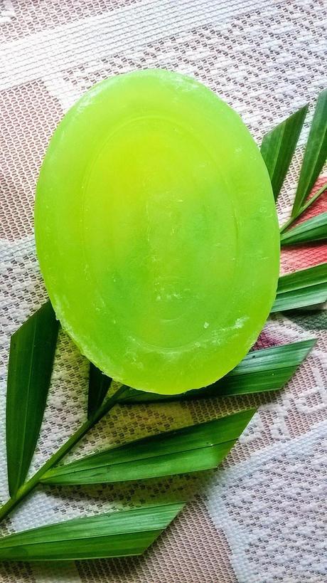 Ozone Ayurvedics Aloe Vera Bathing Bar Review Ozone Ayurvedics Aloe Vera Bathing Bar Review