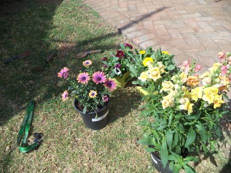 an instant of life captured for eternity DSC00845