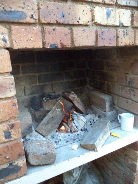 an instant of life captured for eternity DSC00812