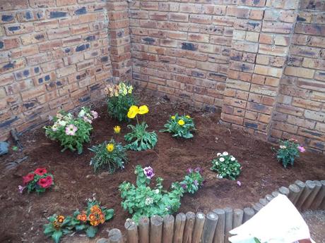 an instant of life captured for eternity DSC00847