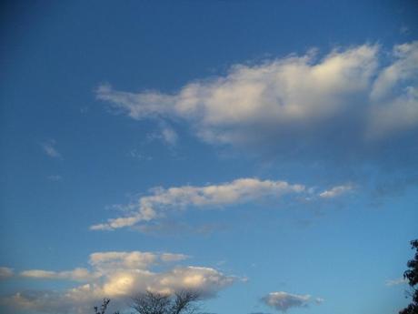 an instant of life captured for eternity DSC00826