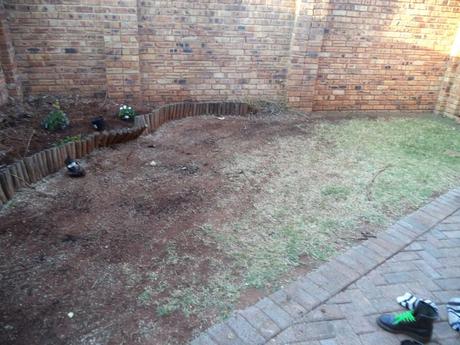 an instant of life captured for eternity DSC00807