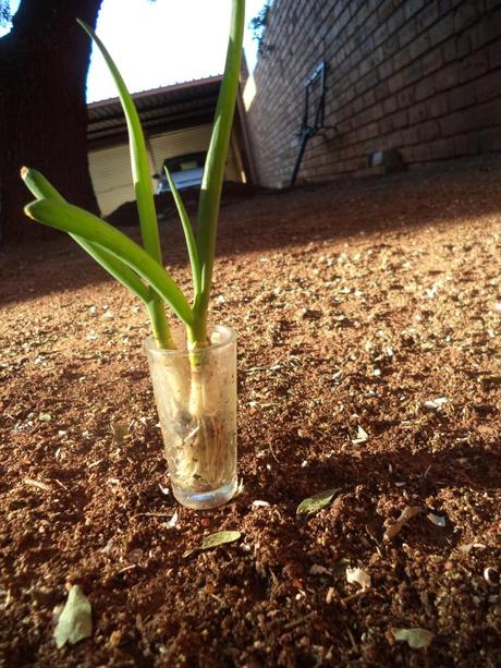 an instant of life captured for eternity DSC00532