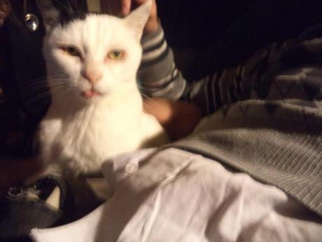 an instant of life captured for eternity DSC00537