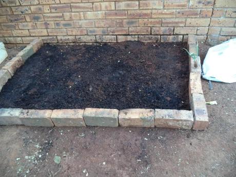 an instant of life captured for eternity DSC00804