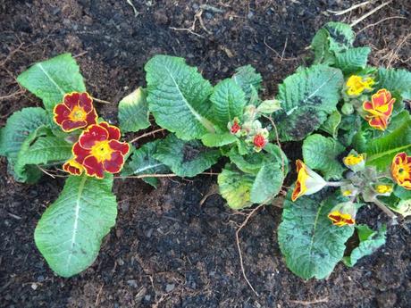 an instant of life captured for eternity DSC00809