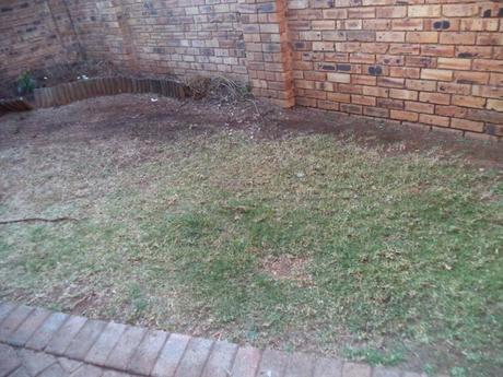 an instant of life captured for eternity DSC00806