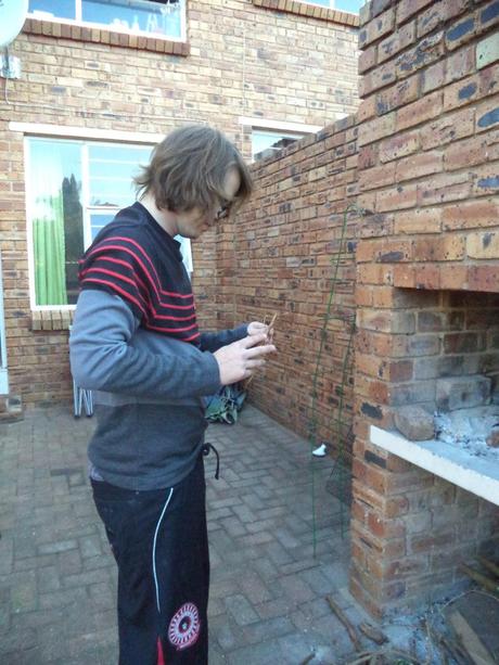 an instant of life captured for eternity DSC00811