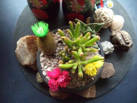 an instant of life captured for eternity DSC00855