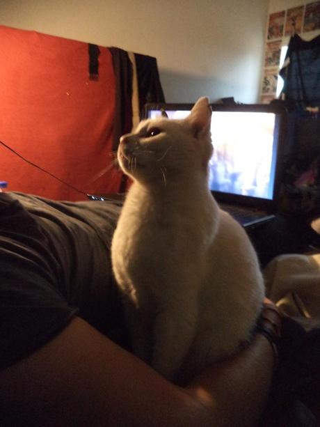 an instant of life captured for eternity DSC00837