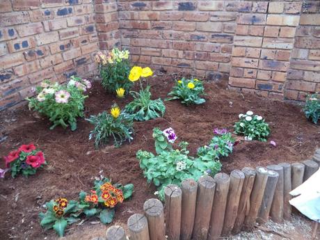 an instant of life captured for eternity DSC00848