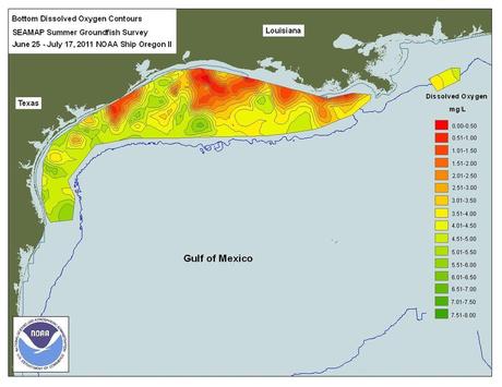 Gulf of Mexico Dead Zone Now the Size of Connecticut