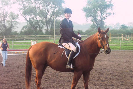 Equestrian Inspired Interior Design NJ horse rescue
