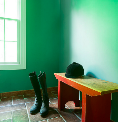Equestrian Inspired Interior Design Hillsborough NJ interior designer