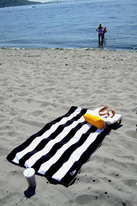 stripes, golden gardens, beach, sun, summer, swimming, tarboo, tote bag, seattle