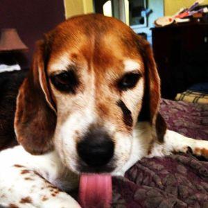 What a Difference a Day Makes, #1033 Bender_1DayLater