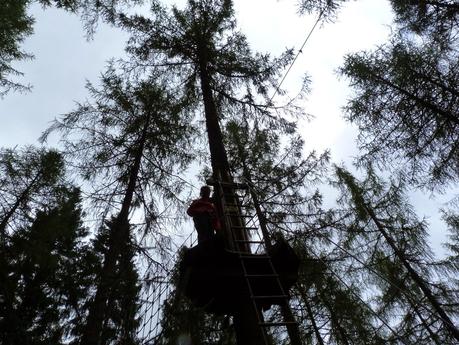 Go Ape Aberfoyle: Hanging around in the trees