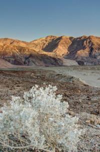 Death Valley National Park