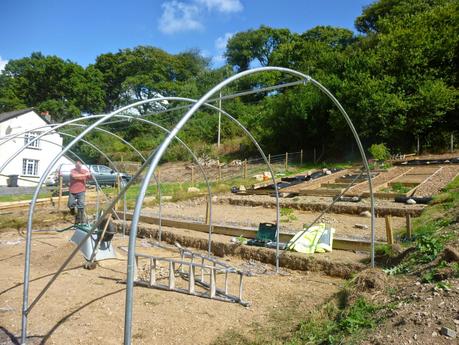 The Polytunnel's Going Up
