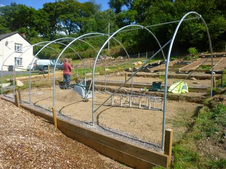 The Polytunnel's Going Up