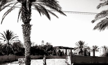 Black Broderie Playsuit Black Broderie Playsuit