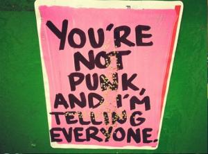 z_ youre not punk