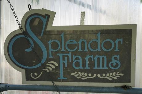 Splendor Farms B&B