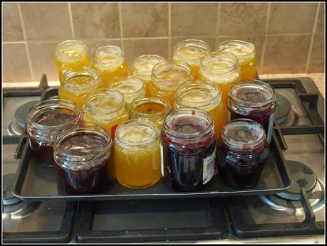Hedgerow Jelly and Plum Jam