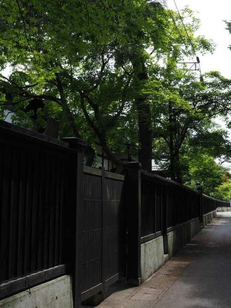 P6110094 深緑鮮やかな武家屋敷，横手市羽黒町 / Yokote, the samurai residences make a beautiful contrast with the deep green leaves.