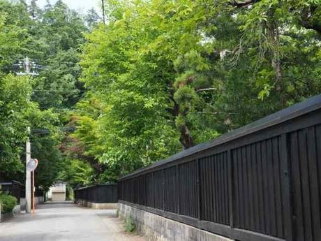 P6110105 深緑鮮やかな武家屋敷，横手市羽黒町 / Yokote, the samurai residences make a beautiful contrast with the deep green leaves.